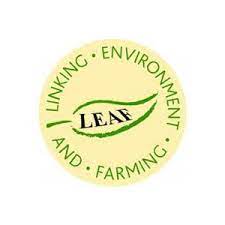 LEAF logo